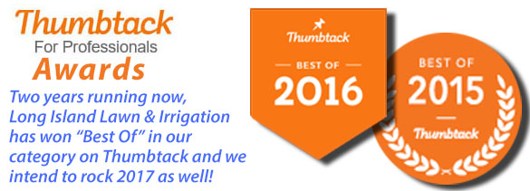 LiLi Top Thumbtack2.jpg